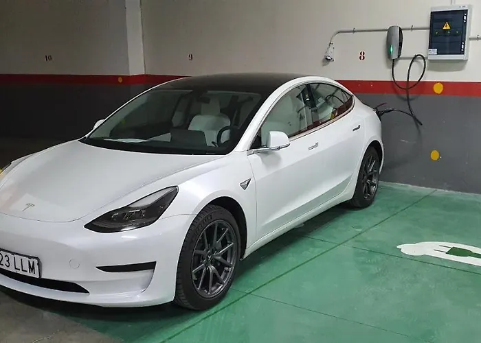 Mejores Hoteles en Segovia que Aceptan Perros