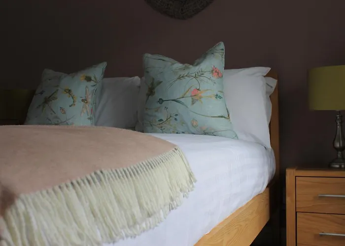 Unrivaled Five-Star Hotels in Taunton