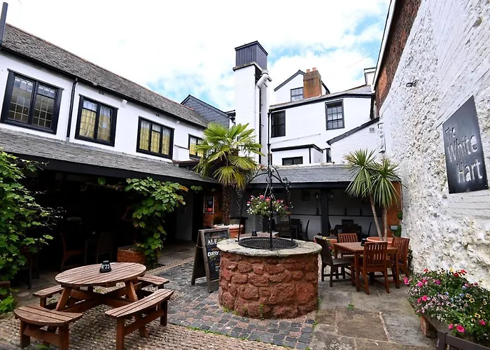 Premier Hotels and B&Bs in Shaldon, Devon