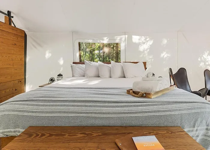 Top Hotels in Coram Montana for Nature Lovers