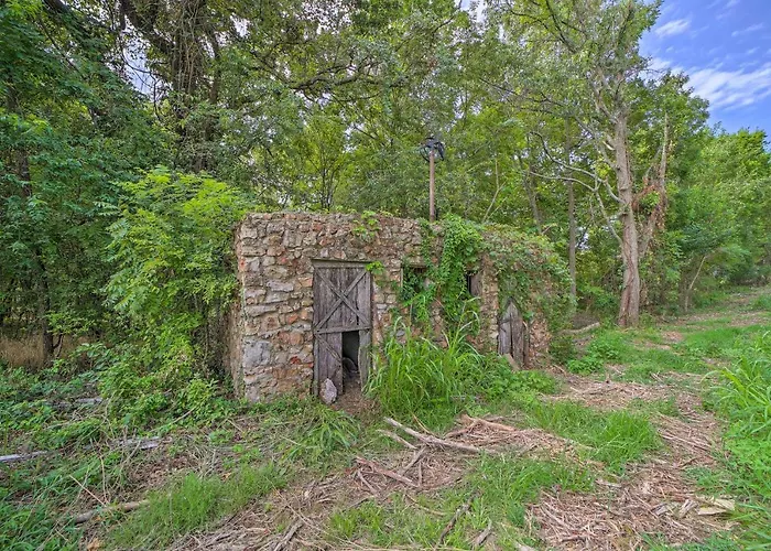 Top Hotels with Disney Shuttle