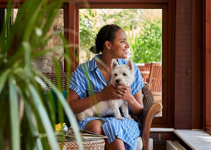 Best Hotels in Brockenhurst for Nature Lovers