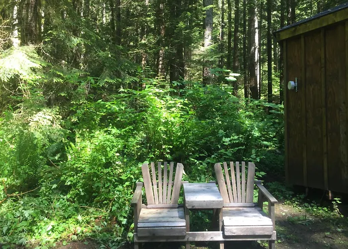 Top Hotels in Ashford