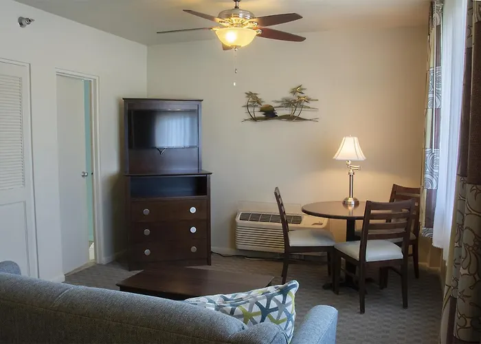 Best Hotels Close to Clearwater Marine Aquarium