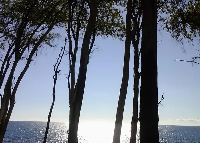 Mejores hostales en Marbella