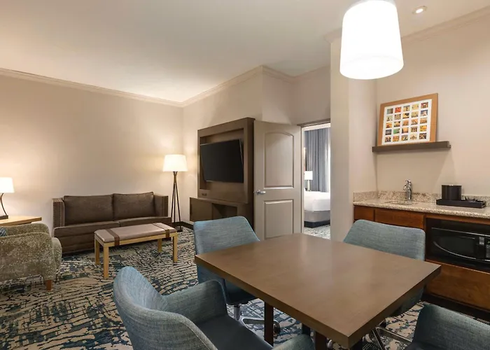 Best Hotels Near Tampa Cruise Port Shuttle