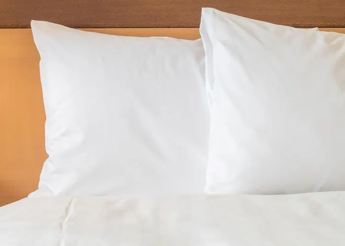 Best Hotels Near Fort Lauderdale Cruise Port Offering Shuttle