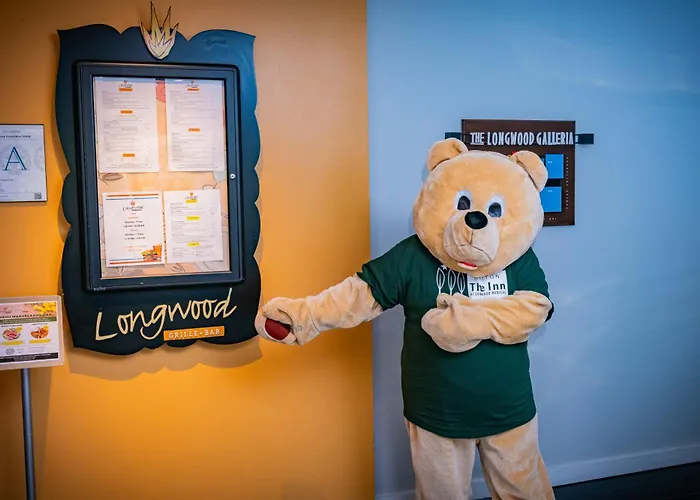 Premier Hotels Near Boston University