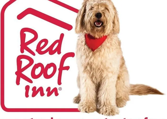 Best Hotels near Victorville for an Unforgettable Stay