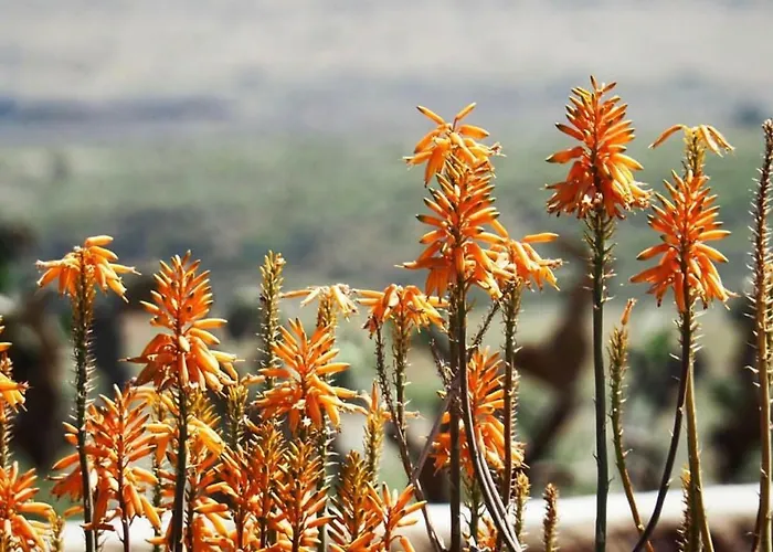 Tops Alojamientos en Cabo De Gata Únicos y Auténticos