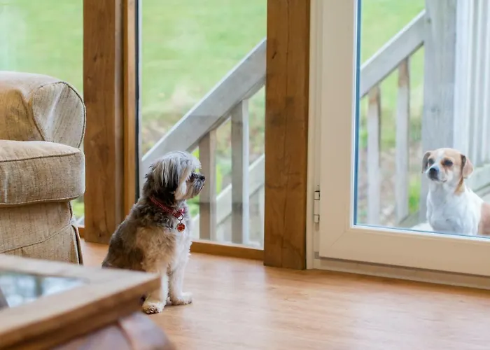 Top Cheap Devils Bridge Hotels to Consider