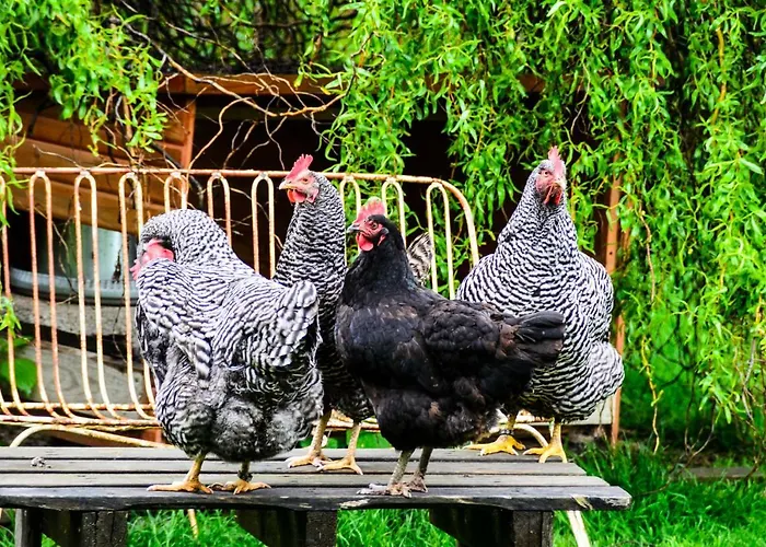 Ramada Hotel Herrenberg