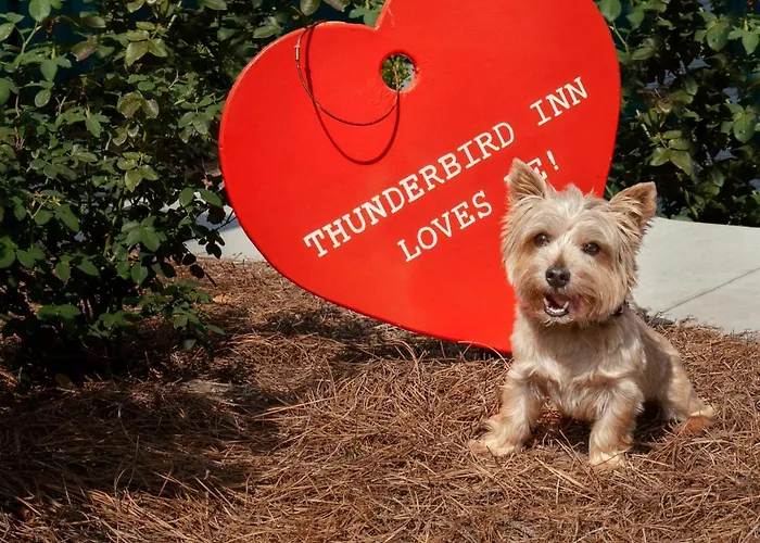 Best Savannah Riverfront Hotels For Southern Hospitality