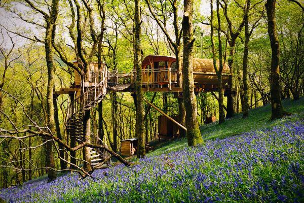 20 Gorgeous Treehouses For Holidays Near London