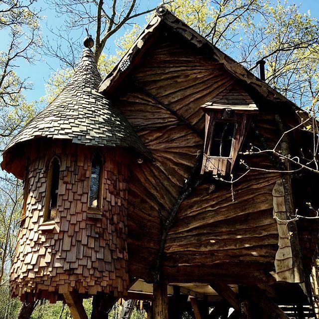 Treehouse