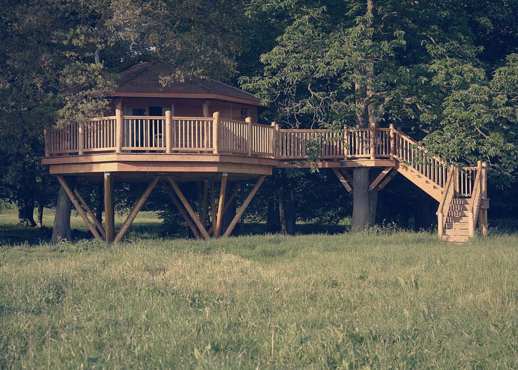 bagthorpe-treehouse-exterior_1024