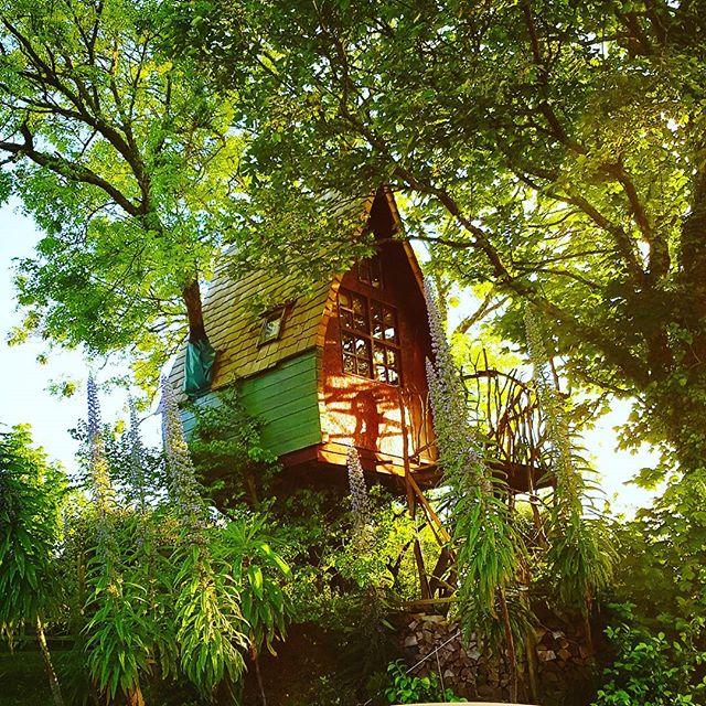 Treehouse