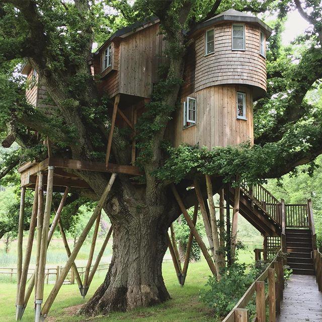 Treehouse