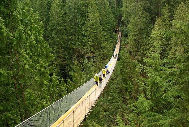 capilano suspension bridge a