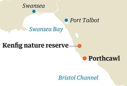 Flower power: an orchid hunt in south Wales