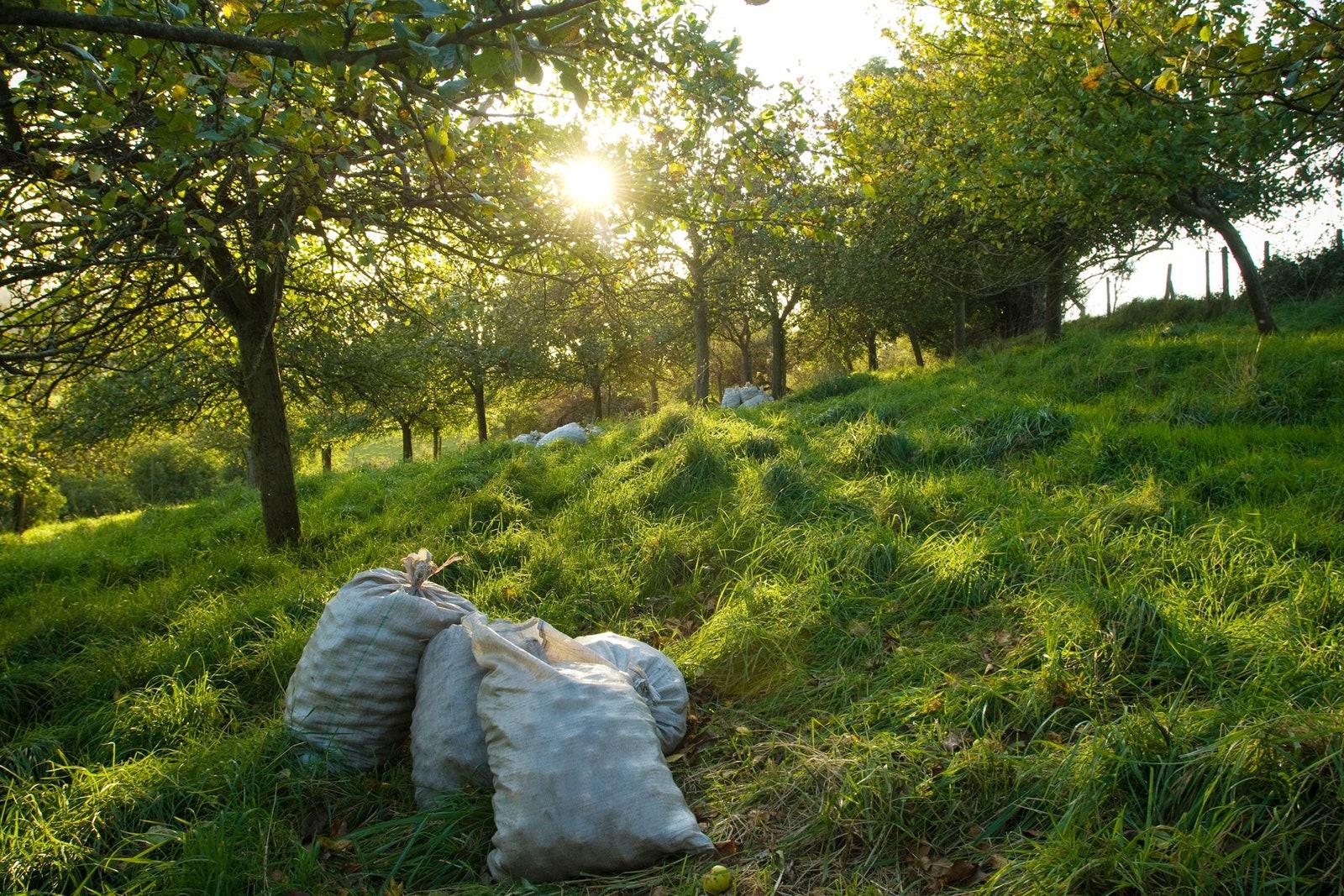 Guide to Somerset, UK